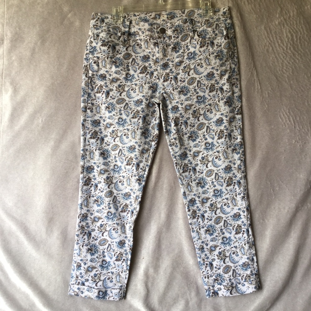 Ann Taylor Loft Jeans 30/10 Modern Crop